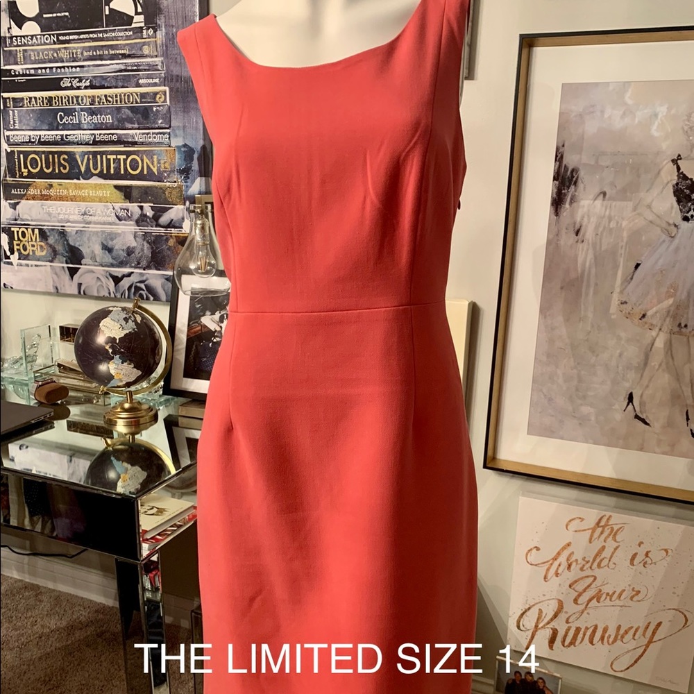 Coral sheath dress from The limited
